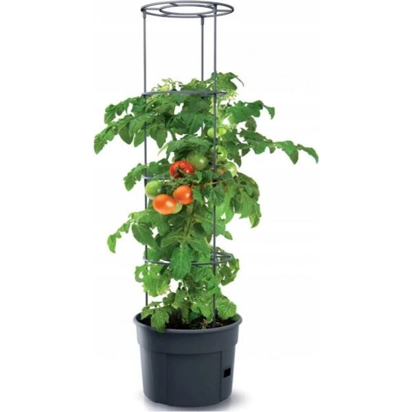Tomaten kweekpot met groeisteun - 12 liter Tomaten Kweekpot Met Groeisteun - 12 Liter -Tuinwinkel 1649410567 1 600