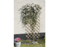 NATURE Klimrek Hout Naturel FSC 100x200 Cm -Tuinwinkel DV 8 10117033 03 4c NL 20210429171657