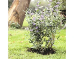 NATURE Plantensteun 100 X 45 X 24 Cm 2 NATURE Plantensteun 100 X 45 X 24 Cm -Tuinwinkel DV 8 10610638 01 4c NL 20221021212842