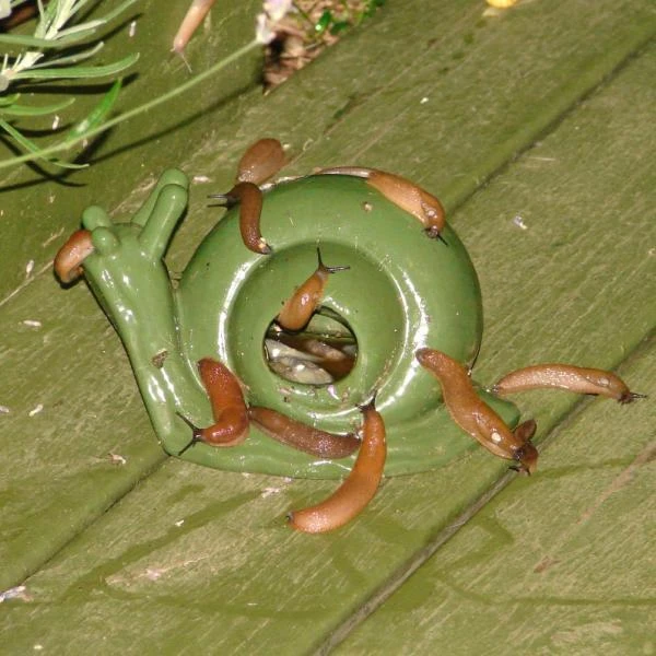 Slakkenval keramiek - groen ESSCHERT DESIGN Slakkenval Keramiek - Groen -Tuinwinkel actie super slakkenval 1484052737 1 600