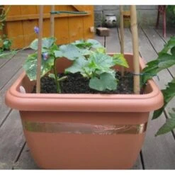 Anti-slakken Kopertape 4 M -Tuinwinkel antislakken kopertape 1484052941 3 600