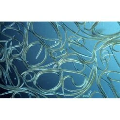 Aquanemix 1.25 V - Doseersproeier Voor Aaltjes -Tuinwinkel auquanemix 125 v doseersproeier 1497858309 1 600