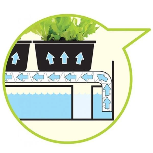 Bewateringstray + vloeidoek 57 × 39 × 5 cm Bewateringstray + Vloeidoek 57 × 39 × 5 Cm -Tuinwinkel bewateringstray vloeidoek 1484057777 2 600