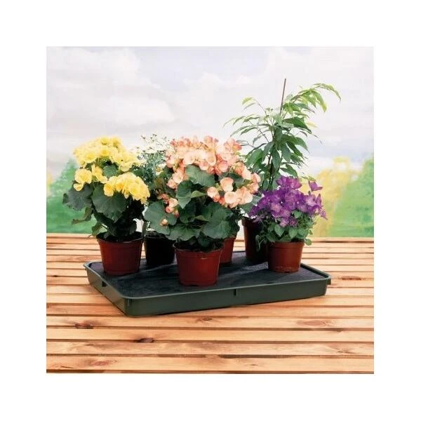 Bewateringstray + vloeidoek 57 × 39 × 5 cm Bewateringstray + Vloeidoek 57 × 39 × 5 Cm -Tuinwinkel bewateringstray vloeidoek 1490112681 1 600