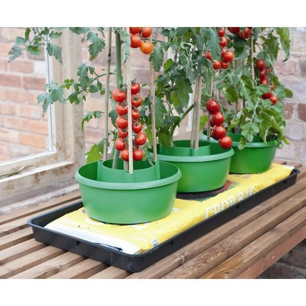 Plant- en gietpot groen - set van 3 stuks Plant- En Gietpot Groen - Set Van 3 Stuks -Tuinwinkel plant en gietpot 1484054799 1 600