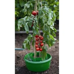 Plant- En Gietpot Groen - Set Van 3 Stuks 3 Plant- En Gietpot Groen - Set Van 3 Stuks -Tuinwinkel plant en gietpot 1484054799 4 600