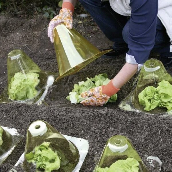 Kunstof PET plantenhoed - geel - set van 12 stuks Kunstof PET Plantenhoed - Geel - Set Van 12 Stuks -Tuinwinkel plantenhoed geel 1597067271 2 600