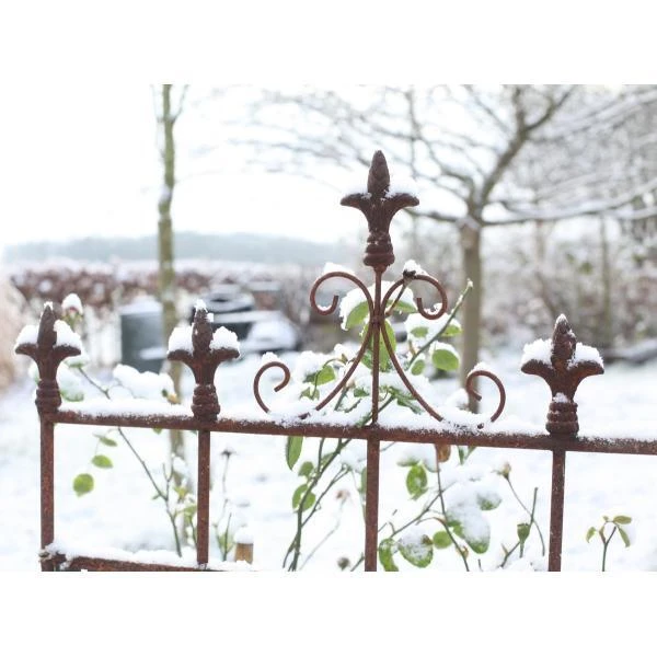 Plantensteun Franse Lelie - roestiek ESSCHERT DESIGN Plantensteun Franse Lelie - Roestiek -Tuinwinkel plantensteun franse lelie 1484068000 2 600