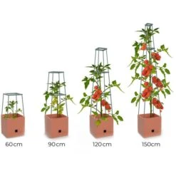 Plantentoren Maxitom Met Waterreservoir - Terracotta -Tuinwinkel plantentoren maxitom terracotta 1680165024 1 600