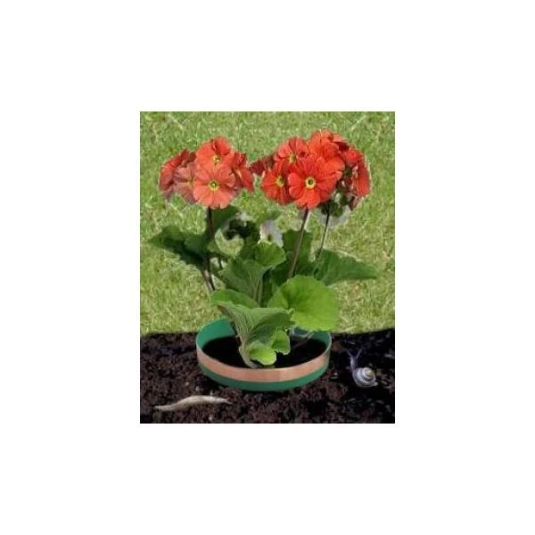 Anti-slakkenringen met kopertape Anti-slakkenringen Met Kopertape -Tuinwinkel slakkenringen koper 1484053248 2 600